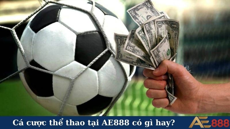 Thể thao AE888 - Cháy hết mình, rinh quà liền tay! 5 Cá cược thể thao tại AE888 có gì hay?