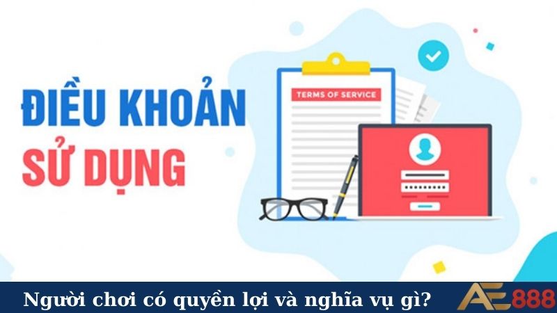 Người chơi có quyền lợi và nghĩa vụ gì?