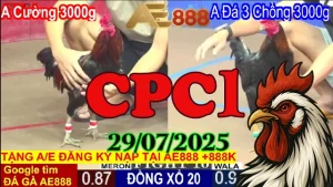 Phát Lại Clip Đá Gà Trực Tiếp C1 Mới Nhất Ngày 29/07/2025