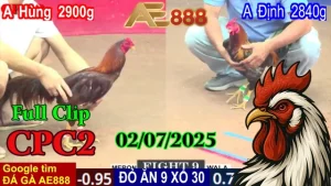 Full Clip Đá Gà Trực Tiếp Thomo Hôm Nay C2 Ngày 02/07/2025
