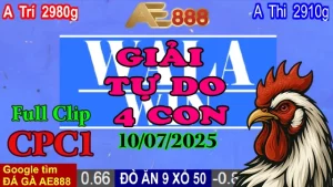 Full Clip Gà Đá Giải 4 Con Tự Do Bồ CPC1 Ngày 10/07/2025