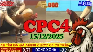 Trực tiếp đá gà CPC4 hôm nay 15122025 HD