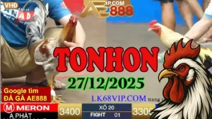 Trực tiếp đá gà Tonhon hôm nay 27122025 mới trong ngày