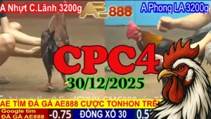 Xem lại trực tiếp đá gà CPC4 hôm nay 30122025