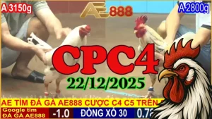 Xem trực tiếp đá gà CPC4 hôm nay 22122025 online