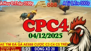 Xem trực tiếp đá gà thomo CPC4 hôm nay 04122025 – Phát lại không bỏ sót