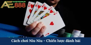 Cách chơi Niu Niu