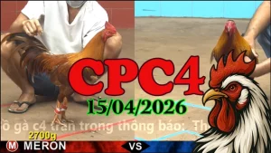 Full Video Đá Gà CPC4 Thomo Hôm Nay 15042026