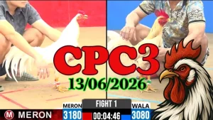 Video Đá Gà Trực Tiếp CPC3 Ngày 13062026